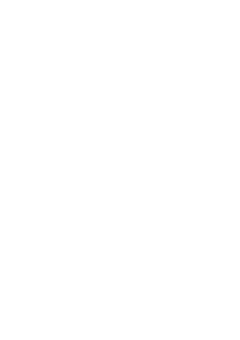 Kidney Institute Logo